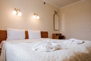 Hotels . Hotel Junior suite Triple . 