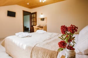 Hotels . Hotel Suite Quadruple Two-room. 