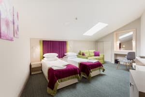 Готелі . Готель Стандарт двомісний (мансарда). 