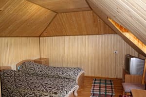 Horianyn. Room Standard Double 