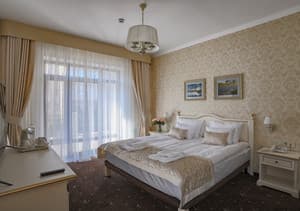 Отели . Гостиница Люкс двухместный с террасой. 