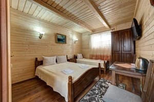 Отели . Гостиница Стандарт трехместный . 