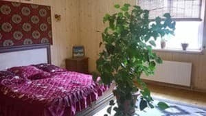 Біля потічка. Номер Економ двомісний 