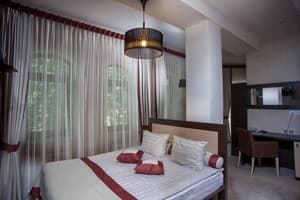 Отели . Гостиница Полулюкс двухместный . 