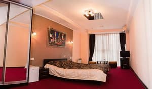 Mark Plaza Hotel. Номер Стандарт двухместный double