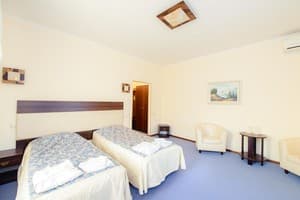 Отели . Гостиница Стандарт двухместный с раздельными кроватями. 