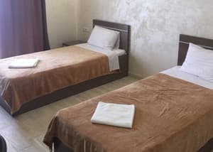 Отели . Гостиница Стандарт двухместный с 2 отдельными кроватями +. 