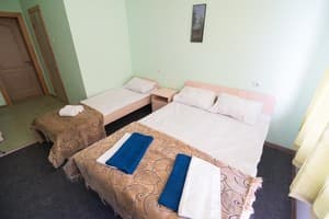 Отели . Гостиница Стандарт трехместный . 