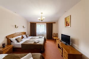 Pigy. Room Standard Triple (8,10,7)