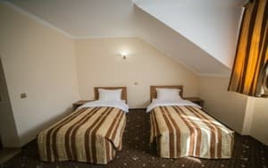 Sonyachniy Promin'. Room Standard Double Ekonom odnomestniy Tvin