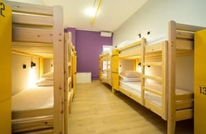 Hotel Bee Station. Номер Место в общем 8-местном номере 