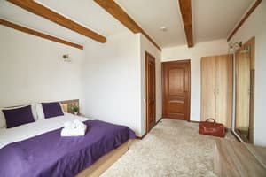 Coin Hotel . Номер Стандарт двомісний king size doudle