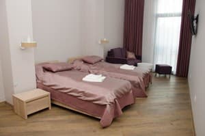 Отели . Гостиница Стандарт трехместный . 