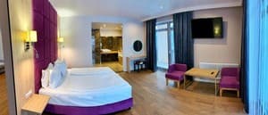 F&B SPA RESORT. Room De luxe Double OPEN SPACE BURSHTYN