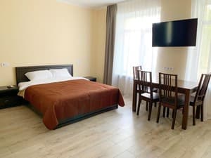 Siti Biznes Apart. Room Superior Double (s kuhney)