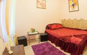 Готелі . Готель Апартаменти двохмісний . 