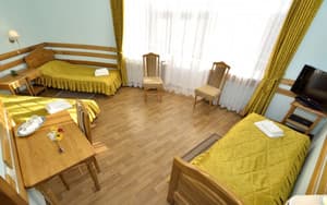 Отели . Гостиница Стандарт трехместный (Корпус Стандарт). 