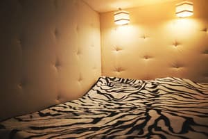 Apartment centre mini. Номер Апартаменты двухместный 