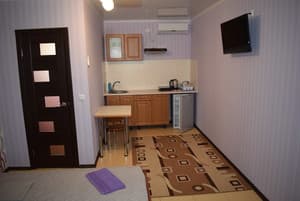 Отели . Гостиница Студио двухместный  с кухней. 