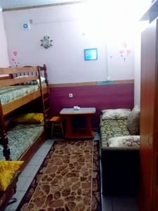 Отели . Гостиница Стандарт трехместный . 