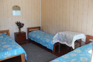 Novaya Dacha. Room Economy Triple with fridge