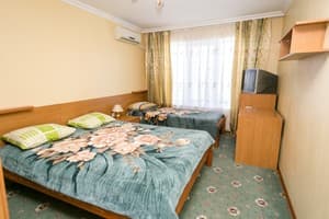 Hotels . Hotel Suite Superior Triple. 