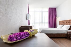 Отели . Гостиница Апартаменты двухместный Studio Bronze Style. 