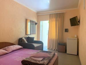 Отели . Гостиница Полулюкс трехместный Корпус №1. 