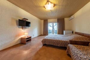 Отели . Гостиница Стандарт 4-местный . 