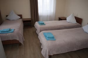 Отели . Гостиница Стандарт трехместный . 