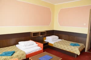 Inturist-Zakarpat'e. Room Economy Double 