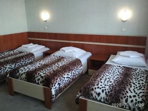 Drujba. Room Standard Triple 