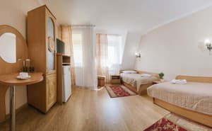 Отели . Гостиница Стандарт двухместный . 