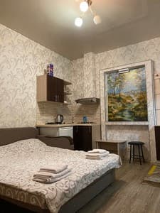 Panorama. Room Economy Double without a window with a mini kitchen