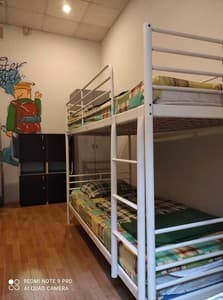 Мистер Хостел. Номер Место в общем 4-местном номере  210Б(10-1)