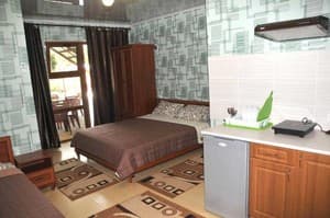 Отели . Гостиница Студио трехместный с кухней. 