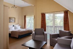 Bukovel Hotel. Номер Люкс 4-местный +