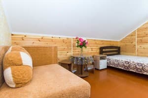 Отели . Гостиница Стандарт трехместный . 