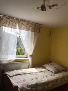 Отели . Гостиница Стандарт двухместный . 