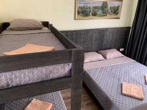 Отели . Гостиница Стандарт трехместный . 