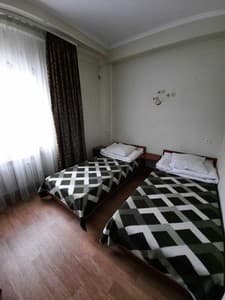 Aleksandryya. Room Standard Double Twin