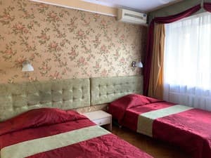 Придеснянский. Номер Стандарт двухместный Twin