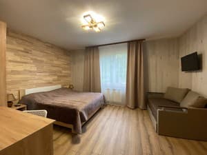 Отели . Гостиница Семейный 4-местный однокомнатный. 