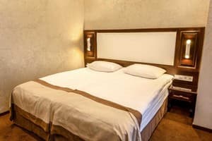 Optima Collection Hmel'nickiy. Room Classic Double 