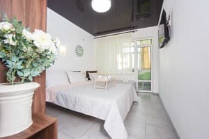 Отели . Гостиница Люкс трехместный  с кухней. 