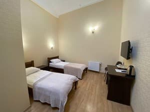 Пассаж. Номер Стандарт двухместный мансарда