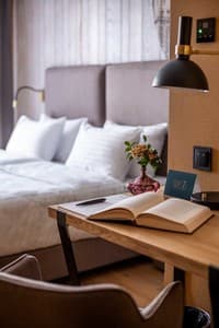 Hotels . Hotel Classic Double double. 