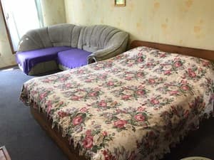 Shevchenka Guest House. Room Apartament Triple dom po Shevchenko 1 komnatniy