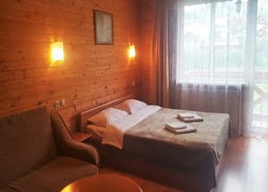 Отели . Гостиница Полулюкс трехместный . 