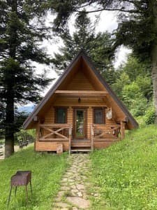 Отели . Гостиница Коттедж двухместный 2+2 (118). 